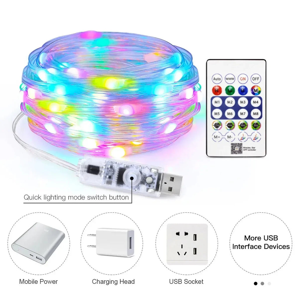 RGBIC Christmas Bluetooth String Lights